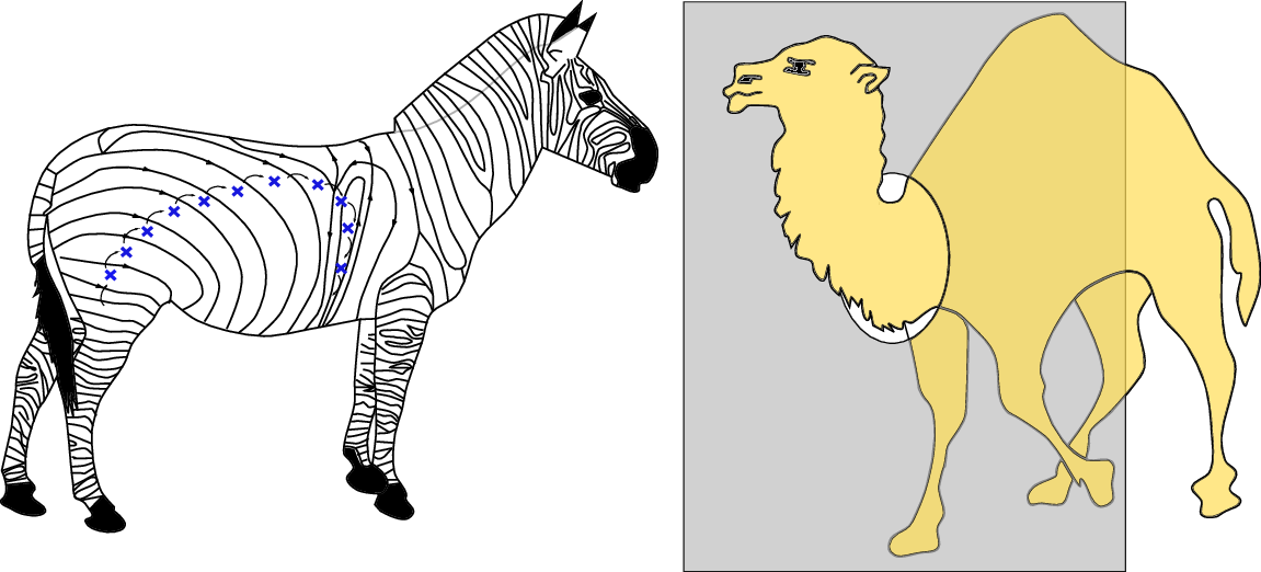 Symplectic Camel meets Dynamical Zebra