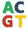 ACGTPortrait