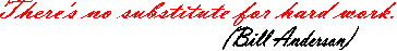 There's no substitute for hard work.,(Bill Anderson)
