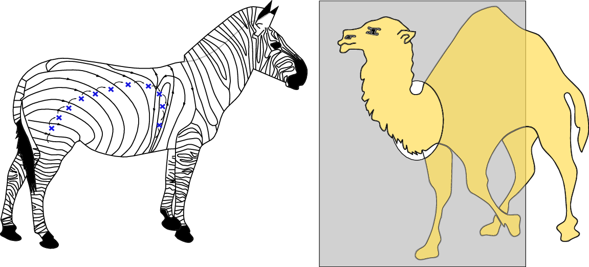 Symplectic Camel meets Dynamical Zebra