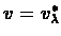 $v = v_{\lambda}^{*}$