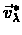 $\vec{v}_{\lambda}^{*}$