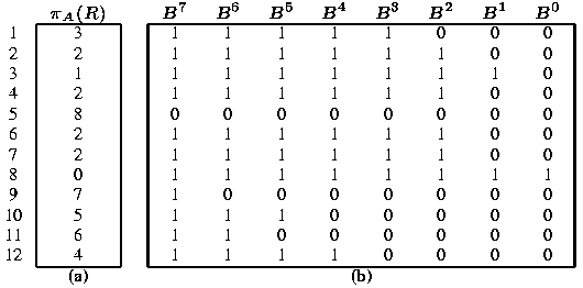 Bitmap Indexes