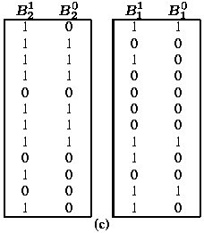 Bitmap Indexes